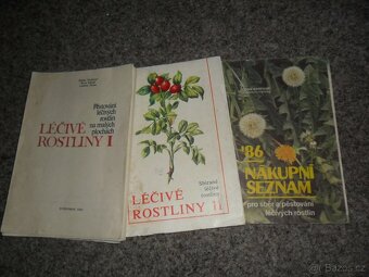 bylinky, léčivé rostliny, alergie, víno jako medicína, ovoce - 5