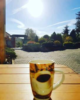 Nabízíme volné místa - ustájení 12/12 - 5