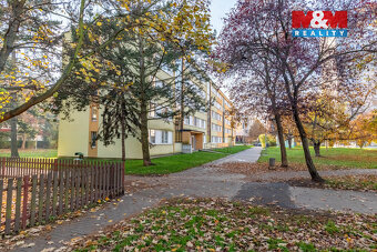 Prodej bytu 3+1, 64 m², Praha, ul. Molákova - 5