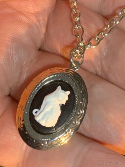 přívěs  a brož - 5