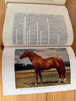 Speciální zootechnika - 5