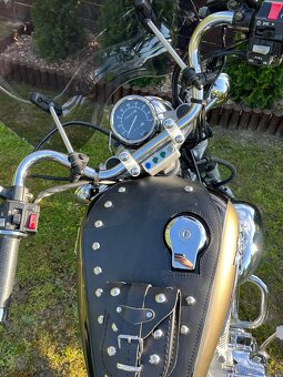 Prodám Yamaha Virago XV535 33kw rok 1999 - 5