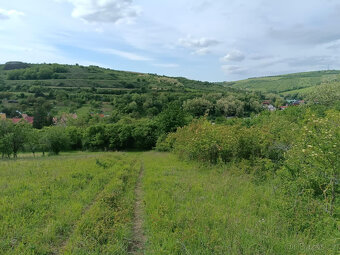 Kurdějov - 5