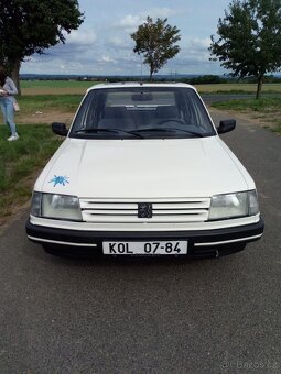Peugeot 309 - 5