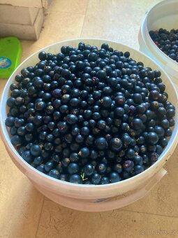 Marmeláda z černého rybízu – 80% ovoce, 20% květového medu - 5