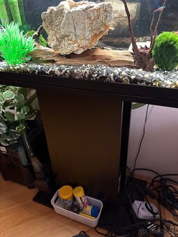 Akvarijní set (rybky daruji klidně zvlášť) - 5