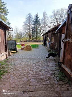 Ustájení Všechovice u Tišnova - 5