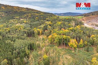 Prodej lesa, 39171 m², Ježovy - 5