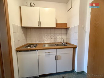 Prodej bytu 1+1, 30 m², Zwieslerwaldhaus - 5