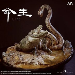 Queen Studios - Rock Python and Nile Crocodile - 5