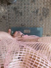 SLEVA.Bukové dřevo na uzení,do krbu i kamen.Rozměr 25cm. - 5