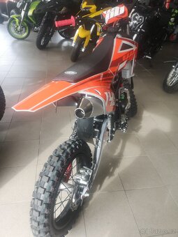 Pitbike WPB 140 - 5