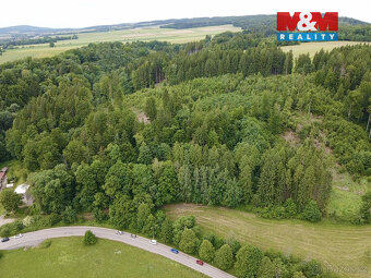 Prodej lesa, 2745 m², Ústí nad Orlicí - 5