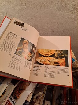 Kuchařka - Grilujeme doma i v přírodě - - 5