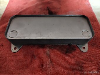 VM Vitopend 100 (WH06) - 5