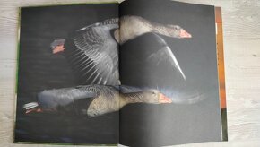 Encyklopedie Myslovosti - Jaroslav Červený a kolektiv - 5