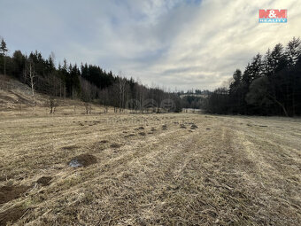 Prodej louky, 10890 m², Petrovice II - 5