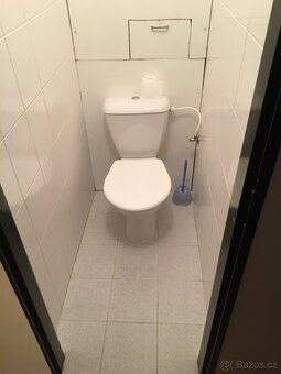 Pronájem bytu 2+1 Kralovice - 5