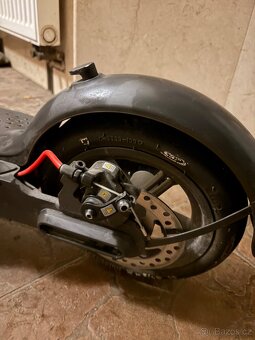 Xiaomi scooter pro 2 - 5