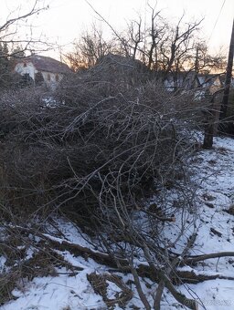 Větve na štěpkování zdarma. - 5