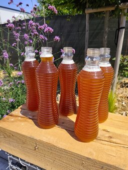 Kombucha - prodej nápoje+ placka - 5