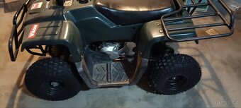 Dětská čtyřkolka 50ccm - 5