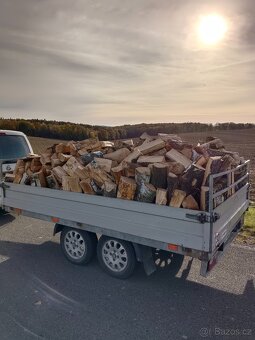 Palivové dřevo - 5