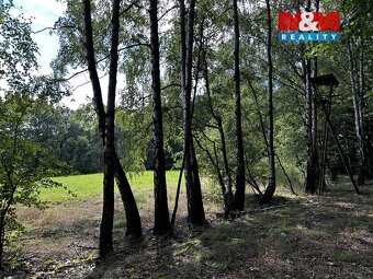 Prodej louky, 7691 m², Petrovice u Karviné - 5