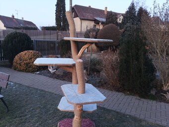 Kočičí škrábadlo. - 5