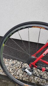 CINELLI - 5
