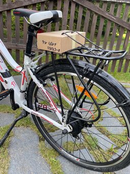 Crussis e-savela 1.9/17Ah Lady - 5