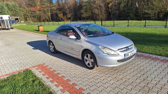 Peugot 307 cc - 5