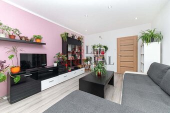 Prodej družstevního bytu 2+1 v Českém Těšíně - 5