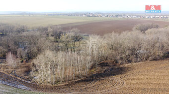 Prodej lesa, 2716 m², Neplachovice - 5