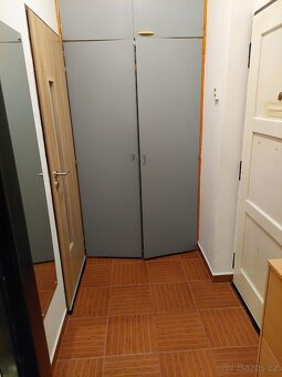 Pronájem bytu 2+kk, 42m2, Praha 6 Břevnov - 5