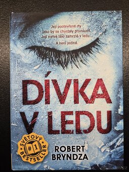 Knihy Roberta Bryndzy - 5
