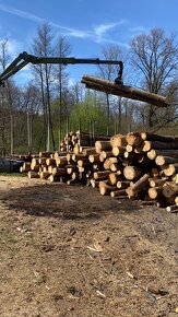 Palivové dřevo - 5