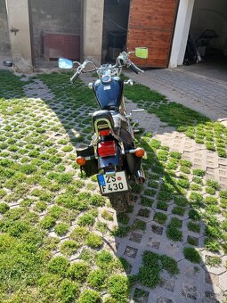 Suzuki 650 Savage - 5