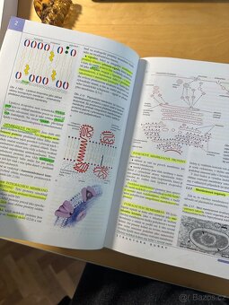 Nový přehled biologie - Stanislav Rosypal a kolektiv - 5