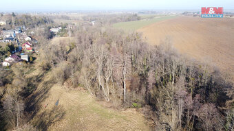 Prodej lesa, 4916 m², Neplachovice - 5