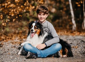 Krytí chovným psem AUSTRALSKÝ OVČÁK - 5