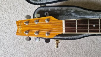 Kytara Washburn - 5