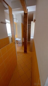 Exkluzivně pronájem loftu 1kk, Údolní, Brno - Veveří - 5