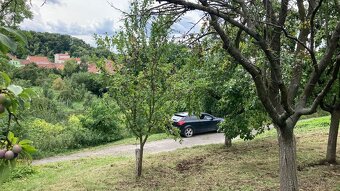 Bývalá stavební parcela (nyní sad) v Louce 191 m² - 5
