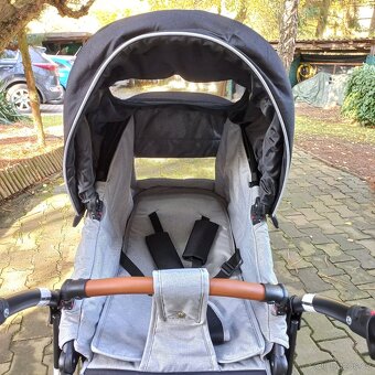 Kocarek Rico basic - 5