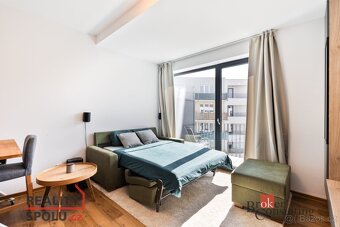 Pronájem, byty/1+kk, 31 m2, Železná 3061/12, Jižní Předměstí - 5