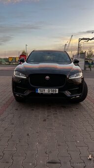 Jaguar - 5