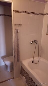 Nabízím k pronájmu byt 1+1 s balkónem ve Vrbně pod Pradědem - 5