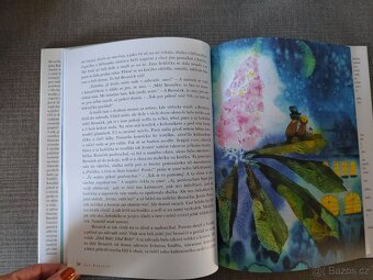 Dětské knížky- Broučci, Julián a skřítek - 5