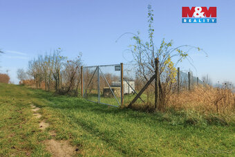 Prodej vinice, 1791 m², Bukovany - 5